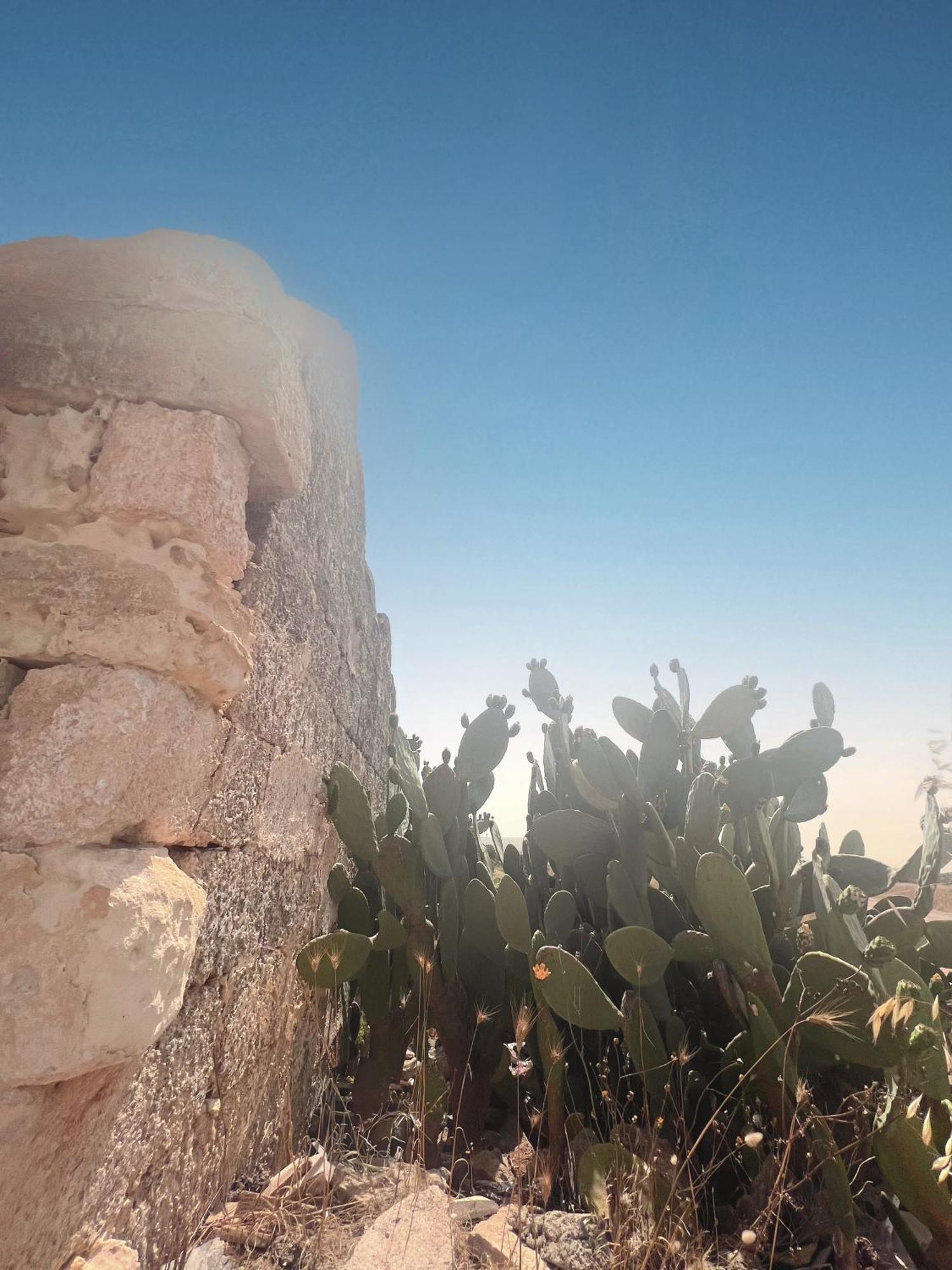 Terrarossa Salento Luxury Home Cocumola Dış mekan fotoğraf